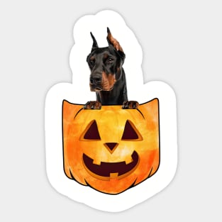 Dobermann Dog In Pumpkin Pocket Halloween Sticker